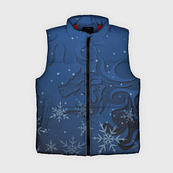 Женский жилет Ледяной дракон 2024