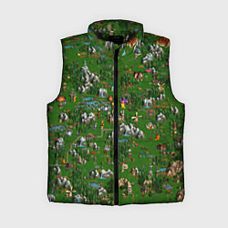 Женский жилет Герои 3 Карта Сопряжения, цвет: 3D-черный