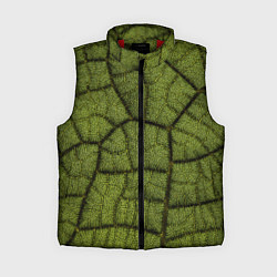 Женский жилет Микромир, цвет: 3D-красный