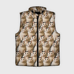 Женский жилет Толстый кот мем Бендер фото паттерн, цвет: 3D-черный