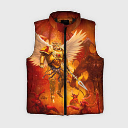 Женский жилет Кот примарх, цвет: 3D-черный