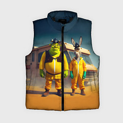 Женский жилет Шрек и Данки пустились во все тяжкие