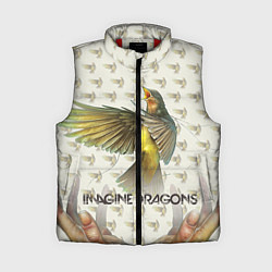 Женский жилет Imagine Dragons: Fly, цвет: 3D-красный