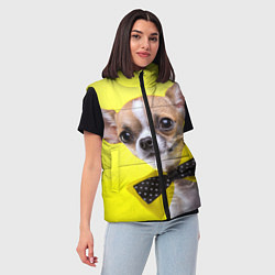 Женский жилет Чихуахуа с бабочкой, цвет: 3D-светло-серый — фото 2