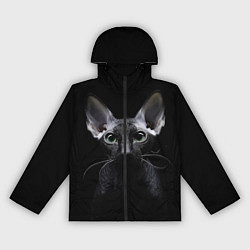 Ветровка с капюшоном женская Сфинкс 2, цвет: 3D-черный