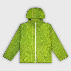 Ветровка с капюшоном женская Листок с росой, цвет: 3D-белый