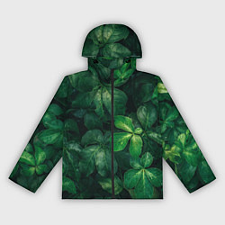 Ветровка с капюшоном женская Тропическая листва Тропики Z, цвет: 3D-черный