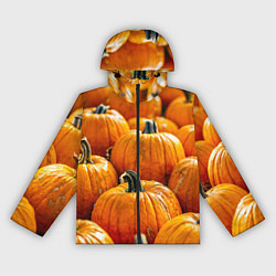 Ветровка с капюшоном женская Много тыкв, цвет: 3D-черный