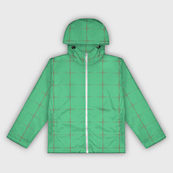 Ветровка с капюшоном женская Color green stripes, цвет: 3D-белый